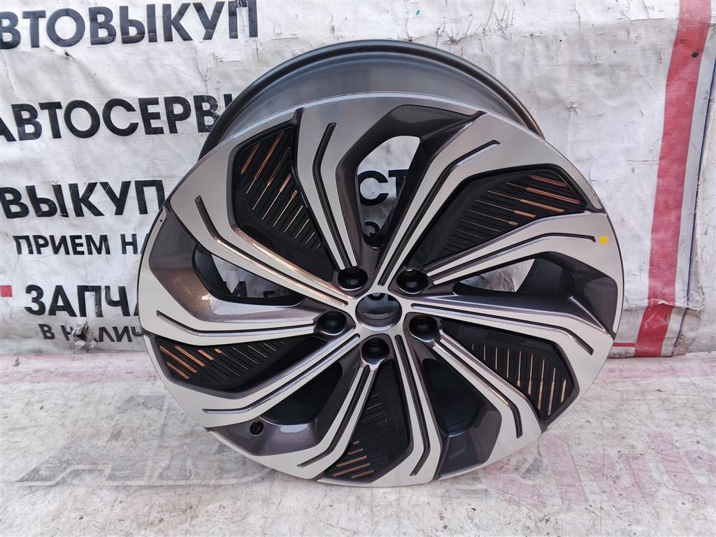 Hongqi H9 для Диск