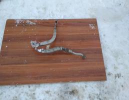 Трубка кондиционера для DAEWOO NEXIA 95-2016  запчасти бу