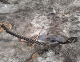 Датчик детонации для HYUNDAI ELANTRA 00-06  запчасти бу