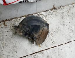 Локер задний правый для FIAT Albea 02-12  запчасти бу