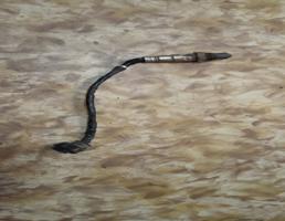 Датчик кислородный / Lambdasonde для CHEVROLET CAPTIVA  запчасти бу